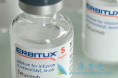 ���Ӱ���ҩ������(Erbitux)һ���Ƴ̵�ҩ���Ƕ��٣�