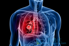 ���������������߶��������Է�Сϸ���ΰ�����Ч