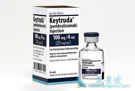 �������鵥��