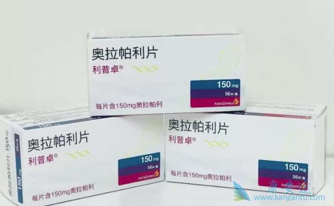 PARP抑制剂 PARP抑制剂