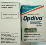���䵥��(Opdivo)������·��Ƥ��Ч����ô��