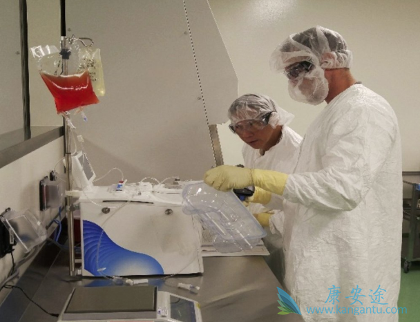 CAR-T细胞 CAR-T细胞