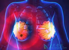 PD-L1���尢���鵥��������ɼ����������ת�����������ٰ����о�����