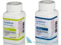 ��������(Lynparza��Ƭ���Ͱ������ὺ�ҵĲ�ͬ��ҩ����