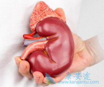 ���ڸ�Σ���������������������Ч�������䵥����