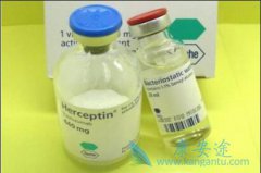 Ƥ��ע�������鵥��/����͡�������ٰ��İ�ȫ�Ժ�������