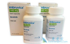��������(Ibrutinib)������׸��ԵĻ���
