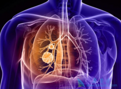 ����������������������ӳ�BRAF V600Eͻ���Сϸ���ΰ����ߵ�������