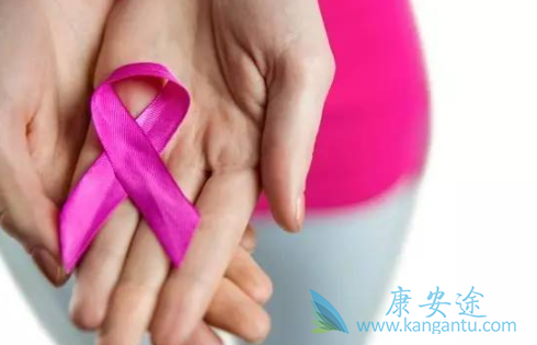 ���ٰ��ڷ�������