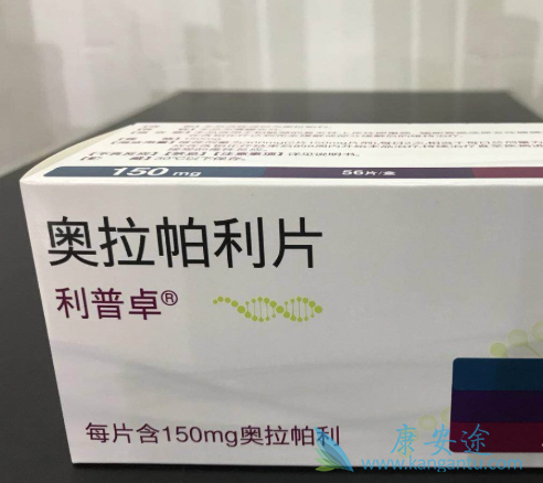 PARP抑制剂 PARP抑制剂