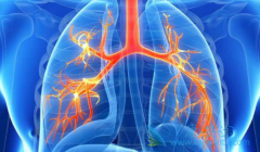 ��������(Alunbrig)������ת�ƻ���Ч����ô����