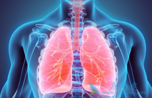 劳拉替尼 劳拉替尼