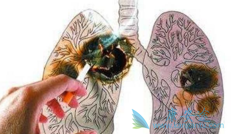 地诺单抗 地诺单抗