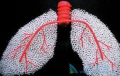 ������ͪ�Է���ά�����ߵ�Ԥ���������Ҫ