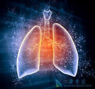 ǳ������ά����������������˺��ľ������