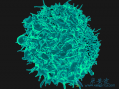 ��PD-1/PD-L1Ϊ���������߼������Ƽ�����ȱ������Щ