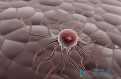 ��ά˾Ⱥ����CDK4/6 ���Ƽ��ɿ˷����ٰ��ڷ�����ҩ