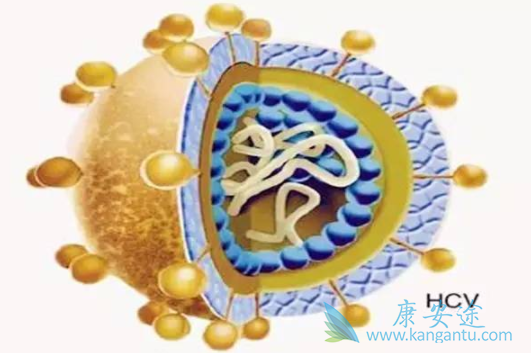 丙肝是什么 丙肝是什么