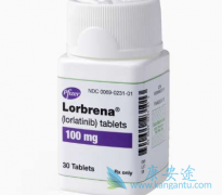 ALK���Ƽ��������ᣨLorlatinib������һ��ALK���Ƽ�