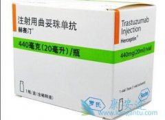 ���ڹ��������鵥��(trastuzumab)���������඾�ԵĿ����Խ���