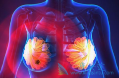 ���ٰ��ڷ������Ƶ���Ч���ܻ��߼����������ˮƽӰ����