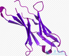 PD-1���Ƽ����Ͽ�Ѫ�����ɰ���ҩ�����ٴ�����ʾ���˻�������Ч