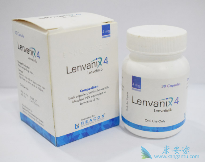 �ַ�����