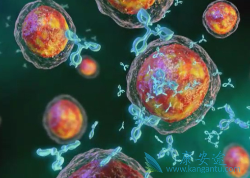 多发性骨髓瘤 多发性骨髓瘤