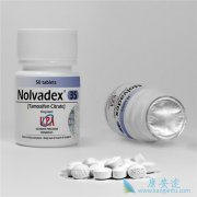 ʹ����Ī����(tamoxifen)�������ٰ���Ч����Σ�