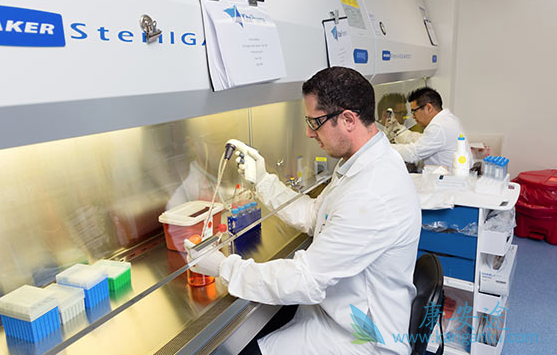 CAR-T细胞 CAR-T细胞