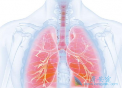 �����������Ī«�����ڷ�Сϸ���ΰ���������ʲô���ã�