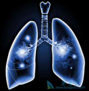 ��ķ������ŷ���������Ʒ�Сϸ���ΰ����ĸ���ʤһ�