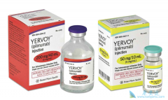 CTLA-4���Ƽ�����PD-1������������������Ч��