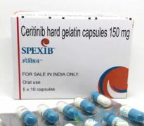 �ڷ�ɫ������(SPEXIB)���Ʒΰ��İ�ȫ�Ը���