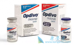 ����ҩ��Nivolumab����Ipilimumab����θ��Ч����ô����