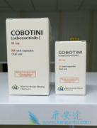 ��������(XL184)�ķ��������ƿ�������PD-1����