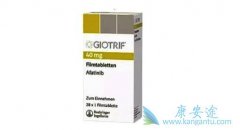 �ΰ����߷��ð�������(Afatinib)�������������м���������