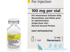 T-DM1���������鵥�������Ϸ���������ɼ����������