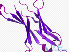 PD-1������Ĳ�����ΪEGFR���Էΰ����ߵ�����ѡ����