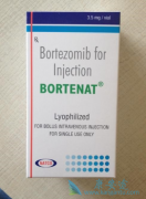 ����������(BORTENT)Ϊ���������Ʒ����ɸ�����ϸ���ܰ�����Ԥ��