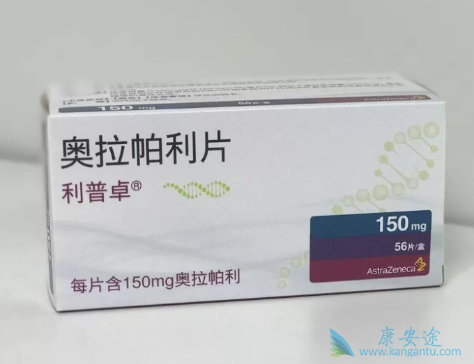 PARP抑制剂 PARP抑制剂