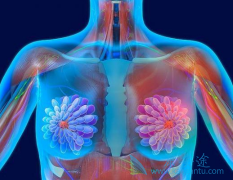 ����ҩ��������������ٰ���������������Ӱ��