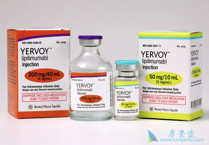 免疫检查点抑制剂 免疫检查点抑制剂