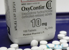 ��Ƭ��ֹʹҩ���ư�֢��ת�Ƶ��µ���ʹ������Ч