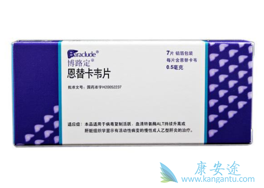 恩替卡韦 恩替卡韦