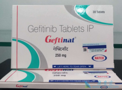 ��ӡ������ɳ(GEFINAT)���������ٰ���