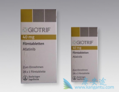 ��������(AFATINIB)��EGFR��HER2������θʳ�ܰ�������Ч����