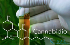 FDA��׼���׸�������ҩ�������ӣ�Cannabidiol������������Щ��֢��