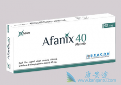 ��������(Afanix)����һ�����ƿ����Ӱ�ϣ������Ч��