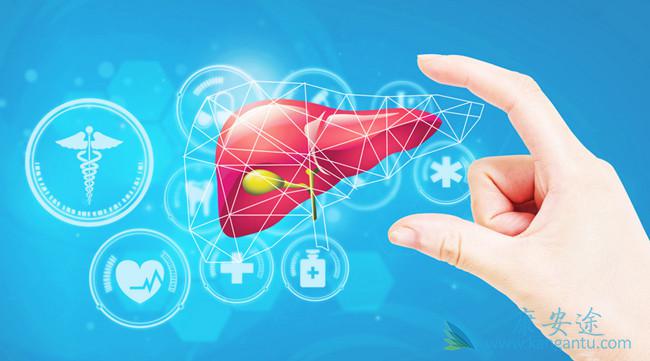 丙肝病毒携带者 丙肝病毒携带者